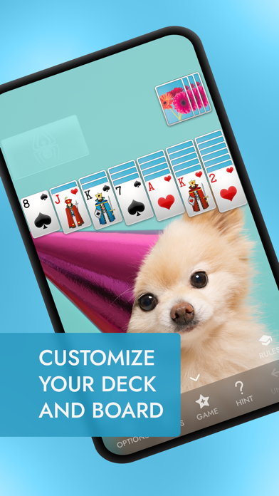 Spider Solitaire Card Games official store screenshot 3